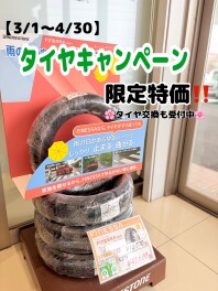 タイヤキャンペーン開催中！